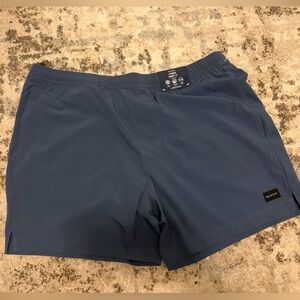 Hollister Blue Men's Swim Shorts